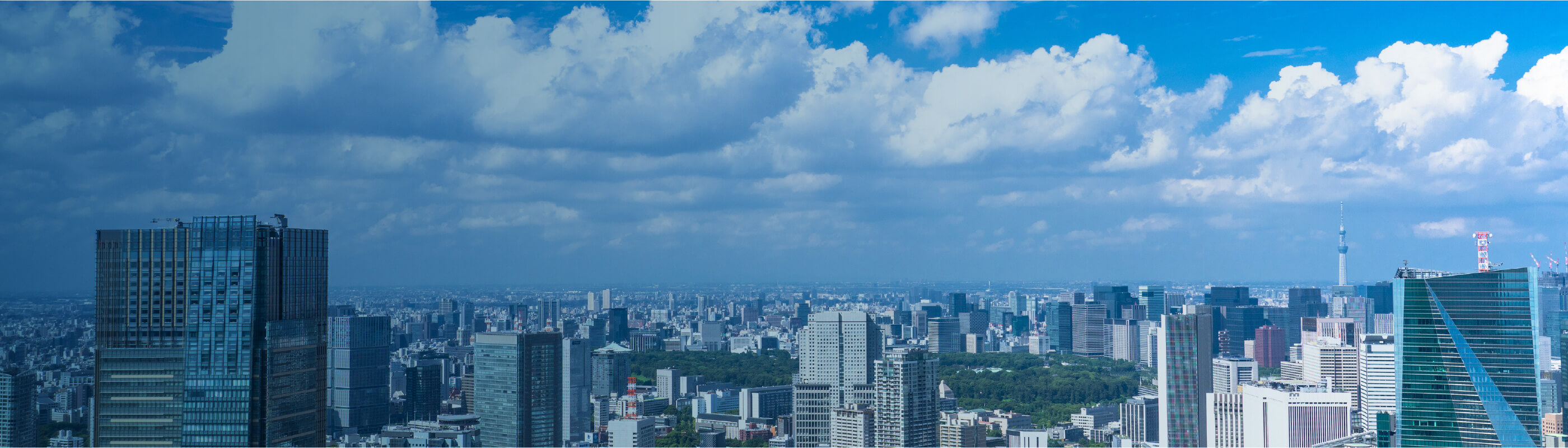 背景画像